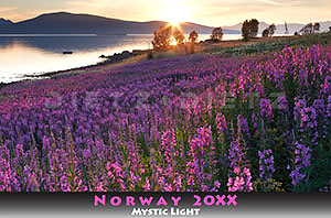 Kalender concept - NORWAY - Mystic Light